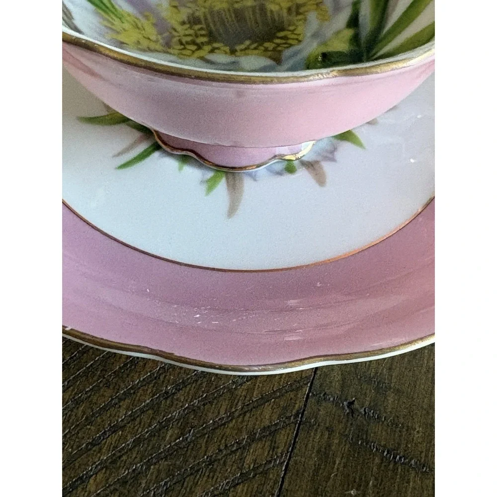 VTG Occupied Japan Hand Painted Pink Cereus Flower Gold Trim Teacup and Saucer